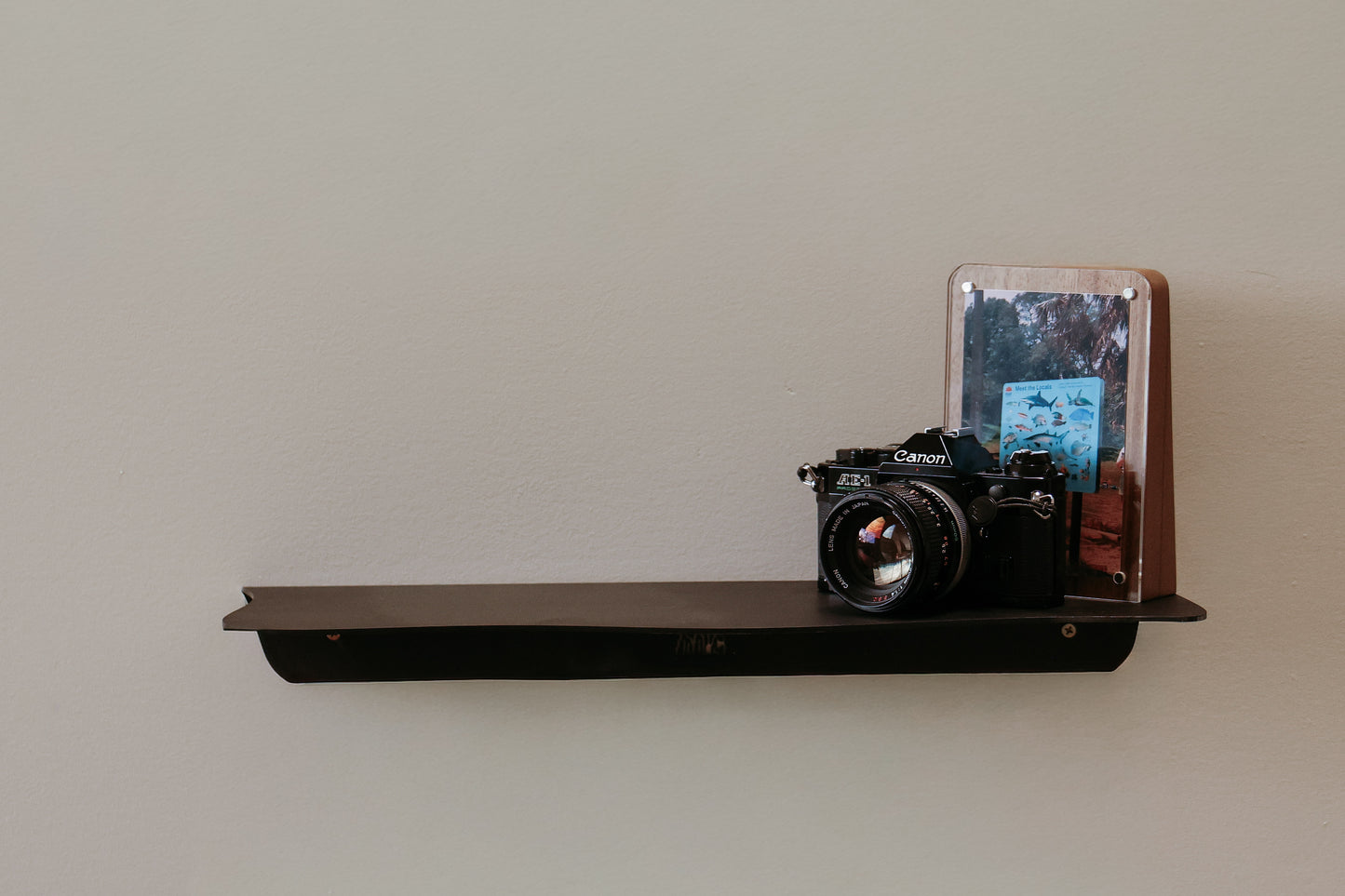 Contour Shelf — (Long)