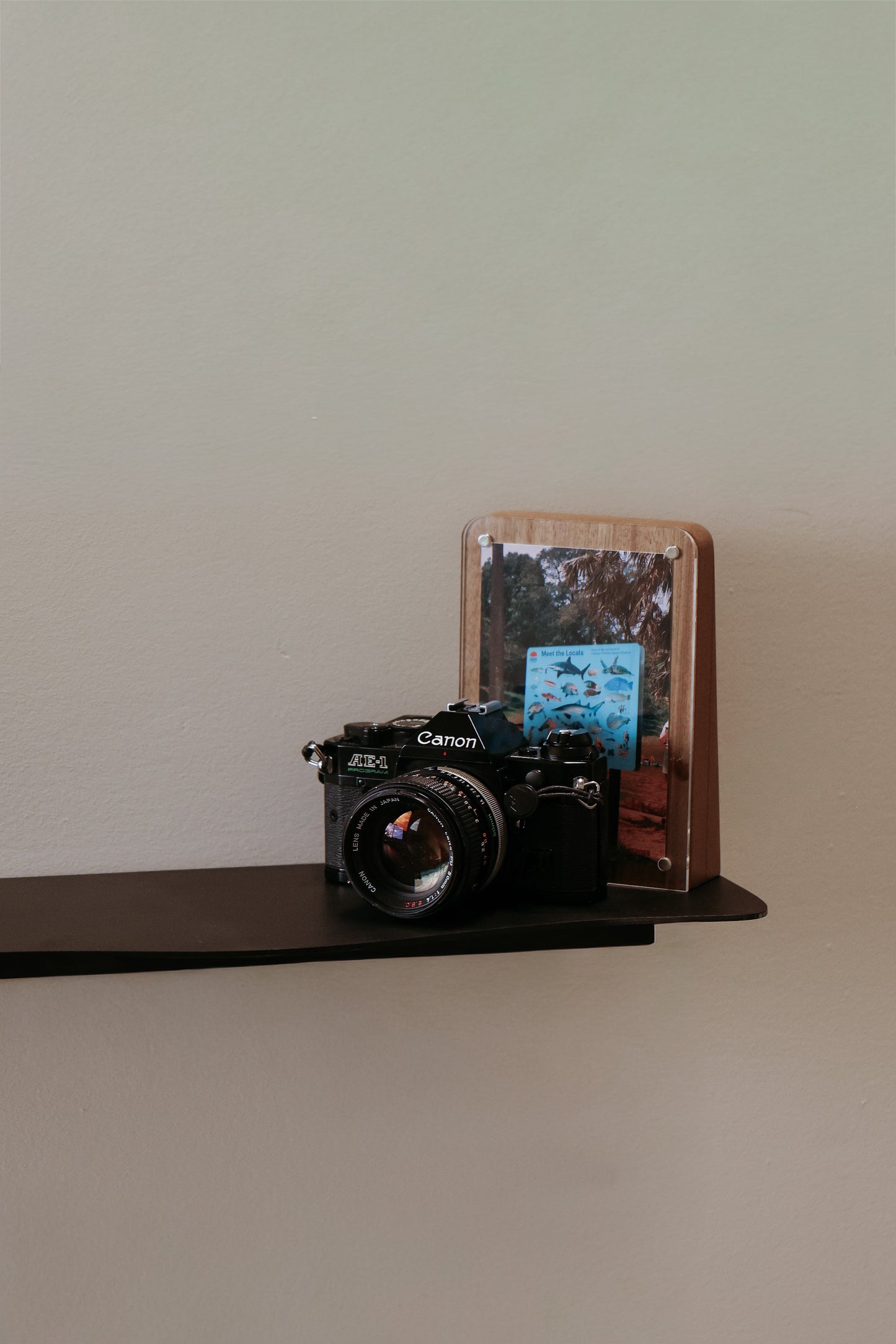 Contour Shelf — (Long)